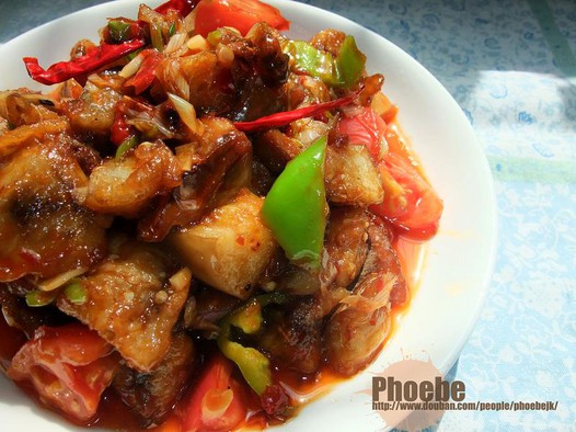 烧茄子的做法大全_烧茄子的家常做法