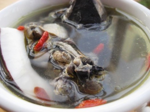 椰子乌鸡汤的做法