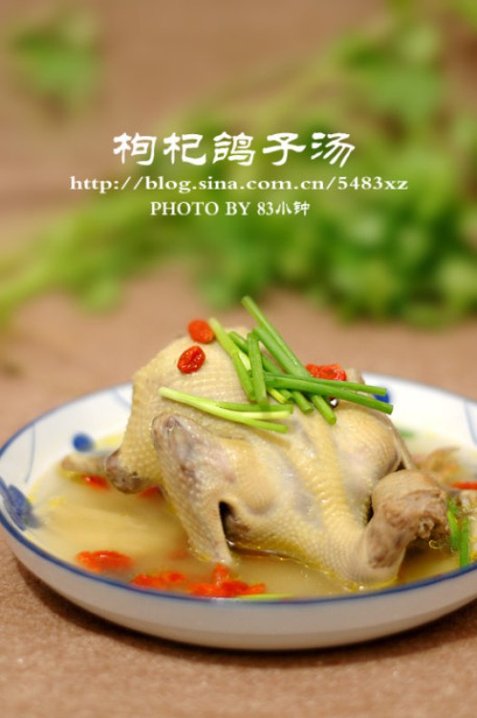 枸杞鸽子汤的做法