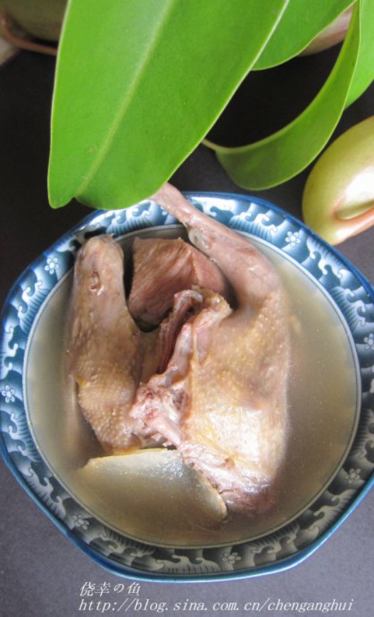 乳鸽绿豆汤的做法