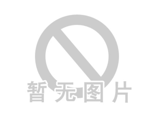 和风炖鸡翅的做法