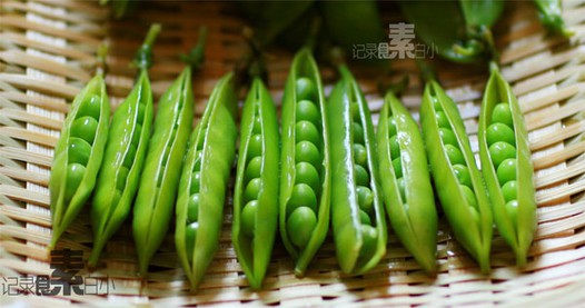 盐水煮豌豆荚的做法