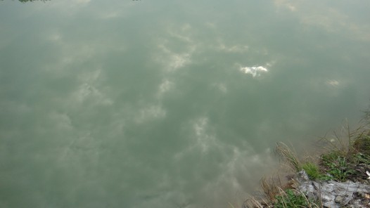 永新狗肉的做法