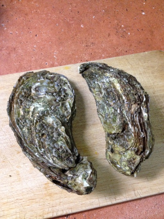 柠檬生蚝的做法