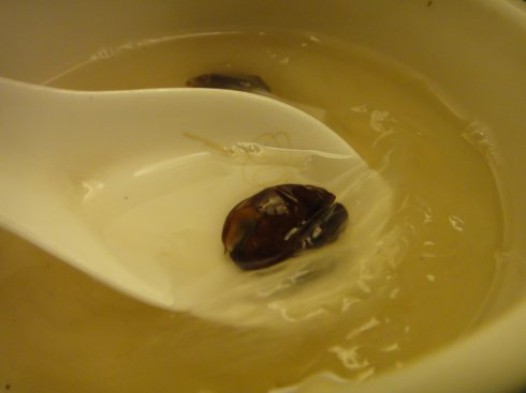 燕窝的做法