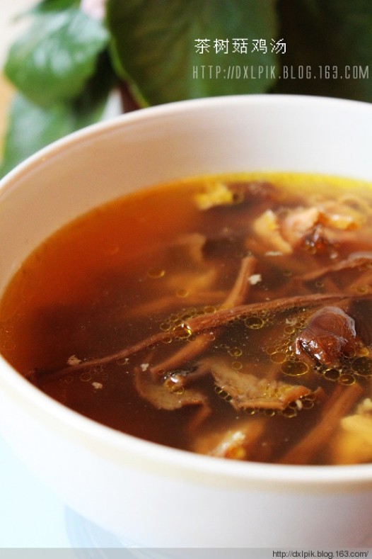 茶树菇鸡汤的做法