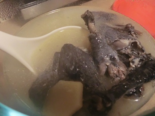 ڼ