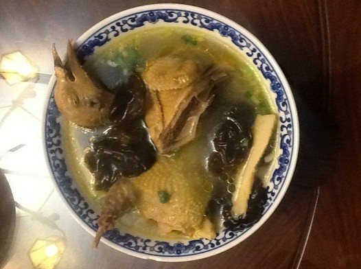 清炖鸽子汤的做法