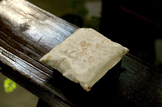 菌种发酵制【新鲜天贝】的做法