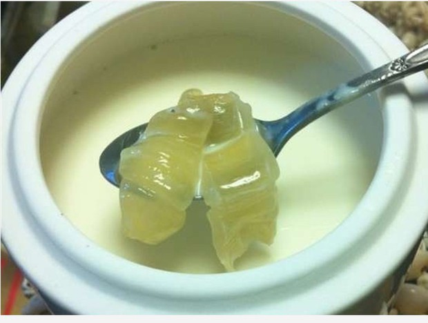 花胶炖牛奶的做法