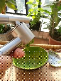 ţ͹ڴε2
