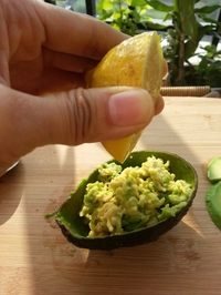 ţ͹ڴε3