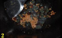 𶹵2