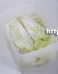 ʽײ˵4