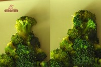 ���հ�з������������������9