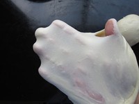 ƻ5