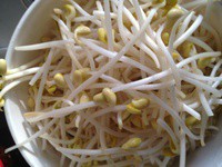 豆芽炒豆腐的做法步骤4