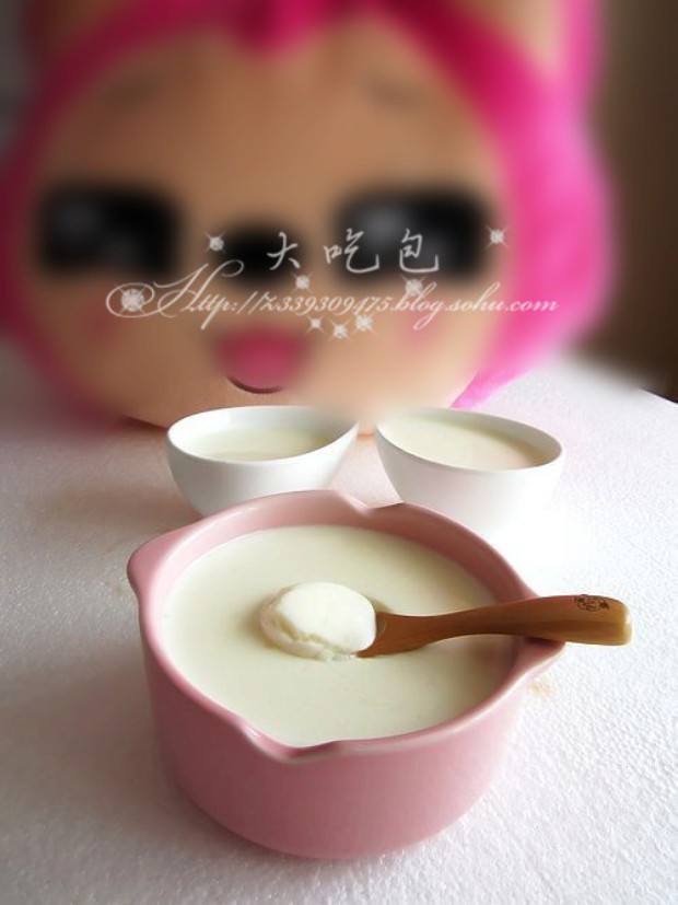 高钙老酸奶的做法