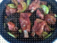 ֮ͰɶŹǵ6