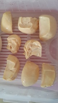 ڱ϶5