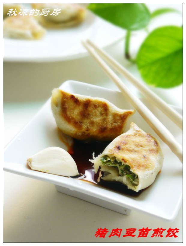 猪肉豆苗煎饺的做法
