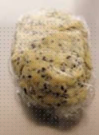 ζ֥׽ 4