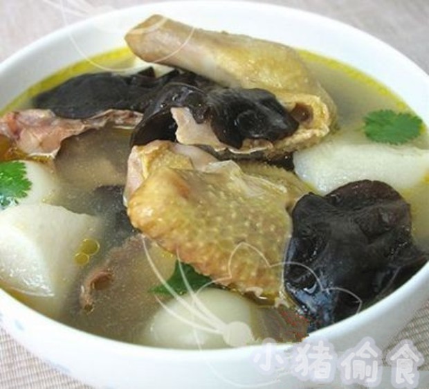 鸽子汤的做法