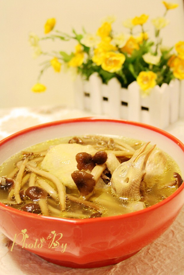 茶树菇炖鸽子汤的做法