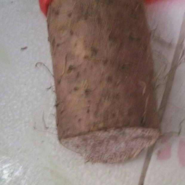 ɽŵ