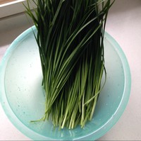 ²˼ڱ 1