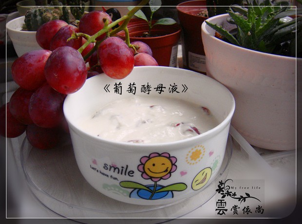 鲜葡萄酵母液(天然酵母的培养日记)的做法