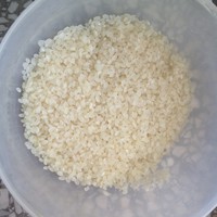 ƤࣨԼ棩 1