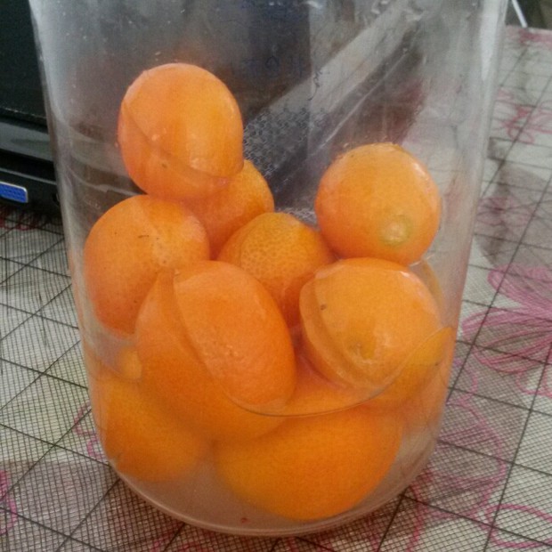 冰糖小金橘的做法