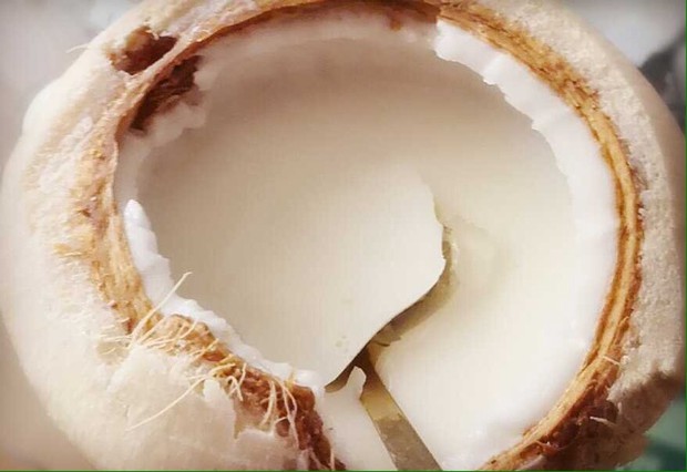 双层椰子冻的做法