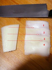 齴ײ˵ 1