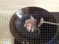 ˶3