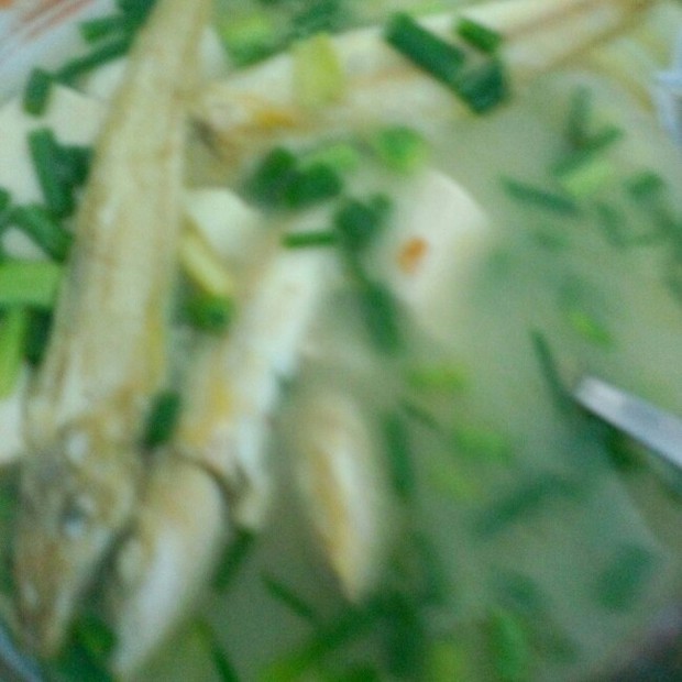 沙旋鱼豆腐汤的做法