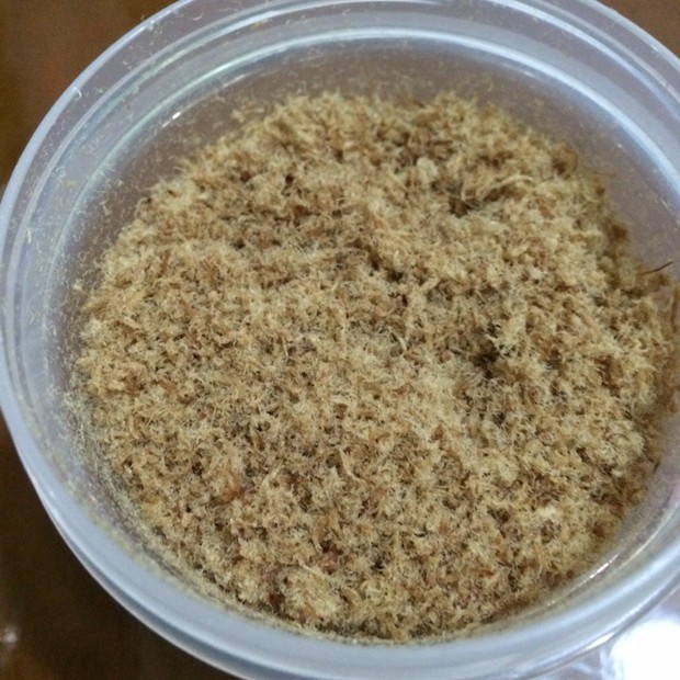 自制肉松~宝宝版的做法