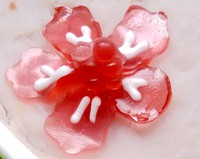 QQˮ4