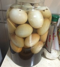 ϶˽ˣҳѼ5