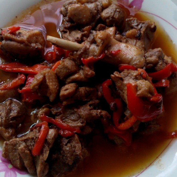 红烧鸭肉的做法