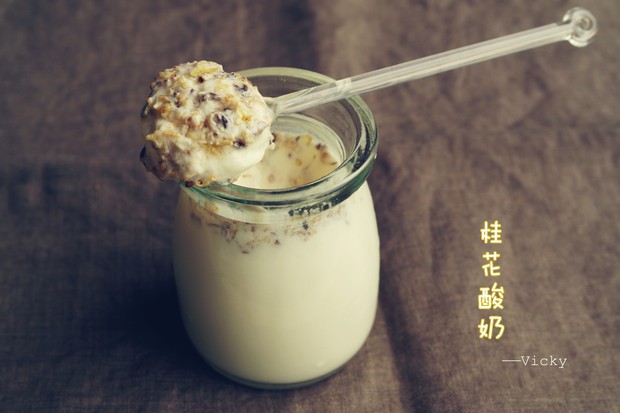 桂花酸奶的做法