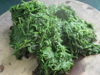 ڵİȺͰ2