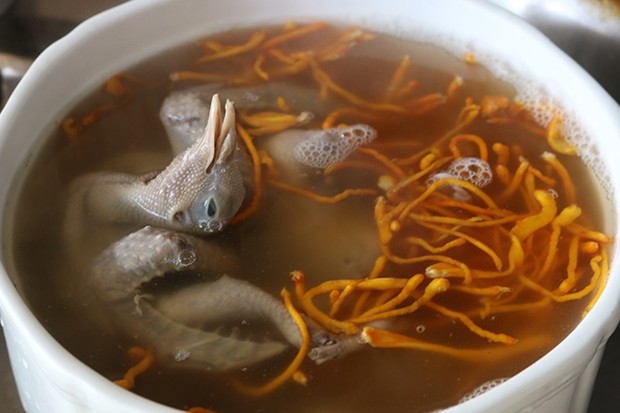 虫草花炖鸽子的做法
