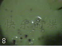 ۶൰8