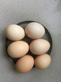 ˻1