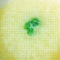 ˼ձ棩4