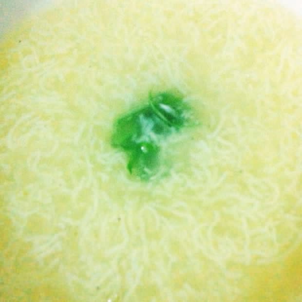 文思豆腐羹(日本豆腐版)的做法