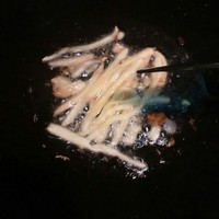Ϻʻƹϵ3