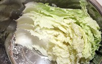 ʽײ˵8